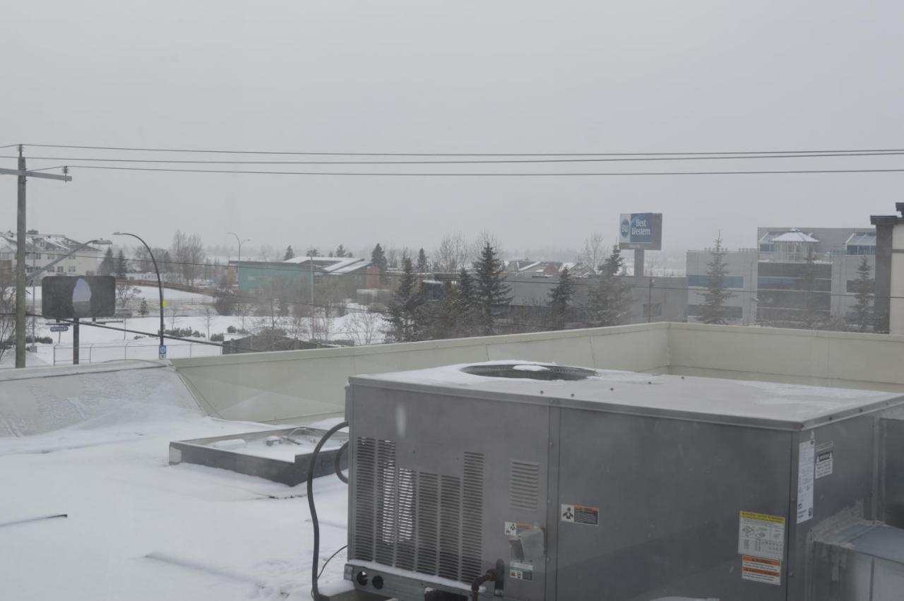 Airport Traveller's Inn YYC Eksteriør bilde